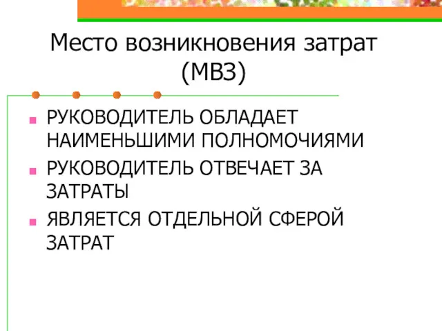 Место возникновения затрат(МВЗ) РУКОВОДИТЕЛЬ ОБЛАДАЕТ НАИМЕНЬШИМИ ПОЛНОМОЧИЯМИ РУКОВОДИТЕЛЬ ОТВЕЧАЕТ ЗА ЗАТРАТЫ ЯВЛЯЕТСЯ ОТДЕЛЬНОЙ СФЕРОЙ ЗАТРАТ