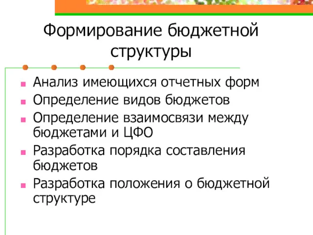 Формирование бюджетной структуры Анализ имеющихся отчетных форм Определение видов бюджетов