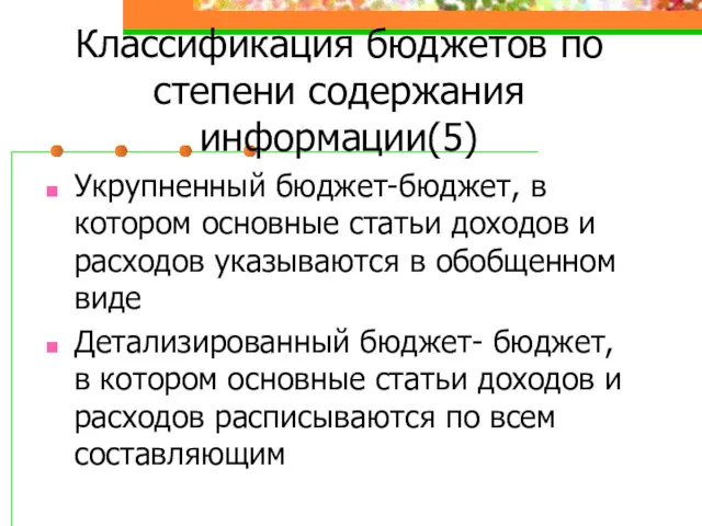 Классификация бюджетов по степени содержания информации(5) Укрупненный бюджет-бюджет, в котором