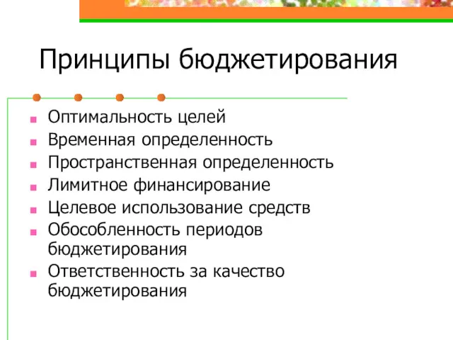 Принципы бюджетирования Оптимальность целей Временная определенность Пространственная определенность Лимитное финансирование