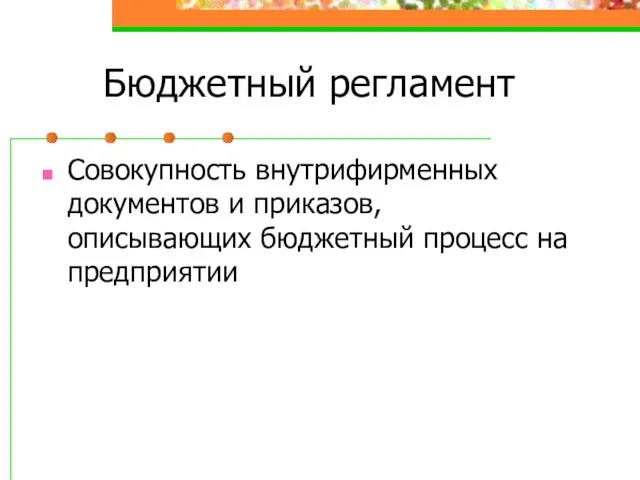 Бюджетный регламент Совокупность внутрифирменных документов и приказов, описывающих бюджетный процесс на предприятии