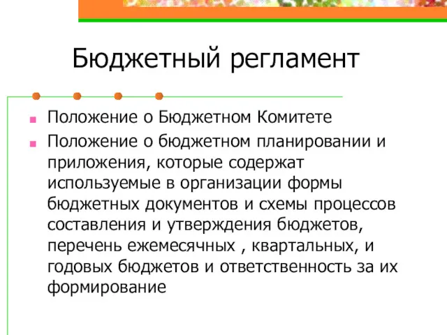 Бюджетный регламент Положение о Бюджетном Комитете Положение о бюджетном планировании