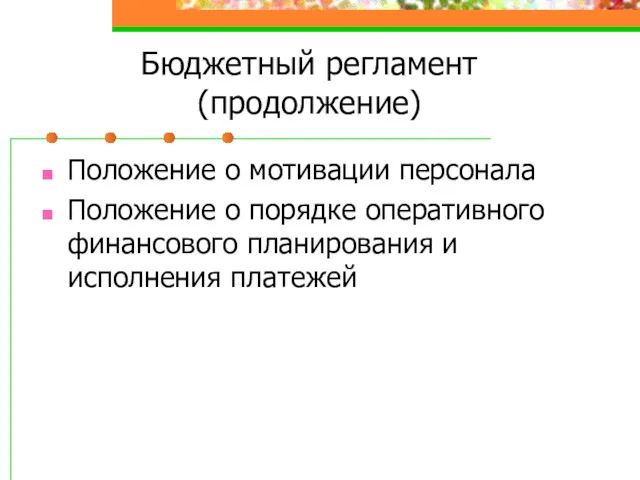 Бюджетный регламент (продолжение) Положение о мотивации персонала Положение о порядке оперативного финансового планирования и исполнения платежей