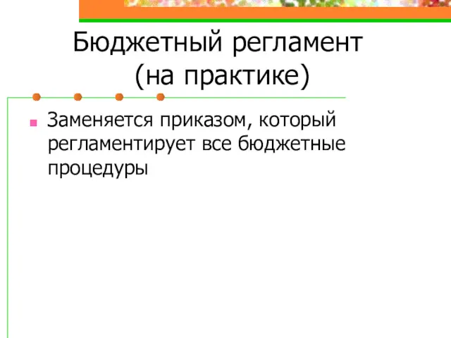 Бюджетный регламент (на практике) Заменяется приказом, который регламентирует все бюджетные процедуры