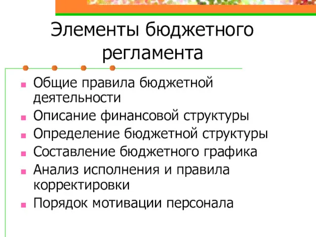 Элементы бюджетного регламента Общие правила бюджетной деятельности Описание финансовой структуры