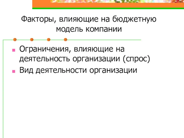 Факторы, влияющие на бюджетную модель компании Ограничения, влияющие на деятельность организации (спрос) Вид деятельности организации