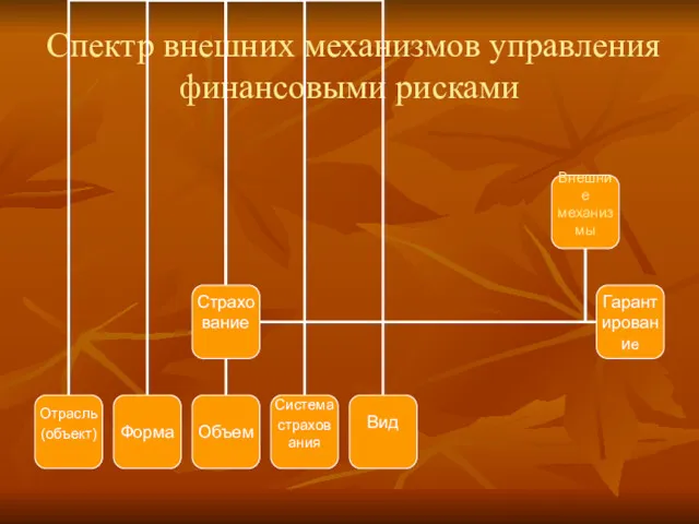 Спектр внешних механизмов управления финансовыми рисками