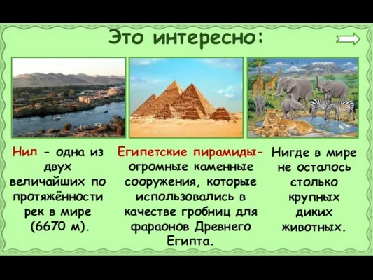 Это интересно: Нил - одна из двух величайших по протяжённости рек в мире