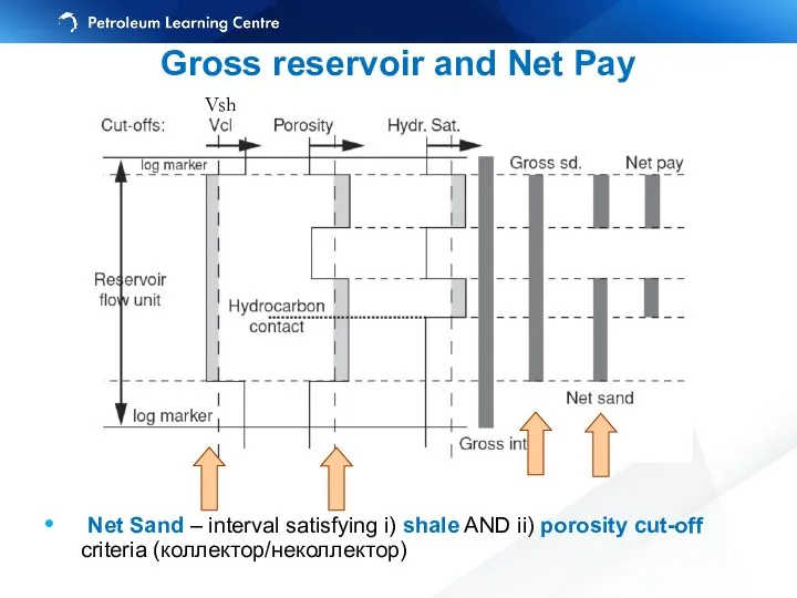 Vsh Gross reservoir and Net Pay Net Sand – interval
