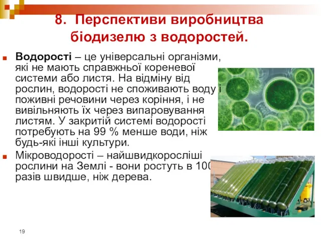 8. Перспективи виробництва біодизелю з водоростей. Водорості – це універсальні