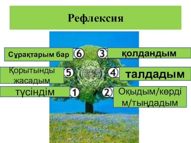 Рефлексия Сұрақтарым бар Қорытынды жасадым түсіндім Оқыдым/көрдім/тыңдадым талдадым қолдандым