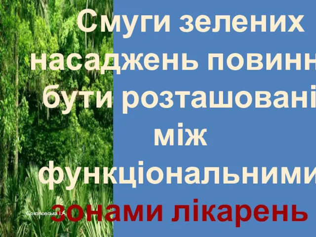 Смуги зелених насаджень повинні бути розташовані між функціональними зонами лікарень шириною 15 м. Соколовська І.А.