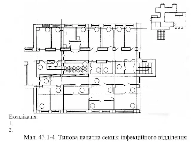 Соколовська І.А.