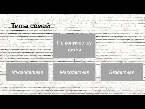 Типы семей