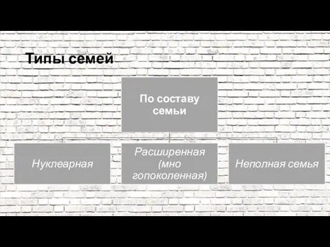 Типы семей