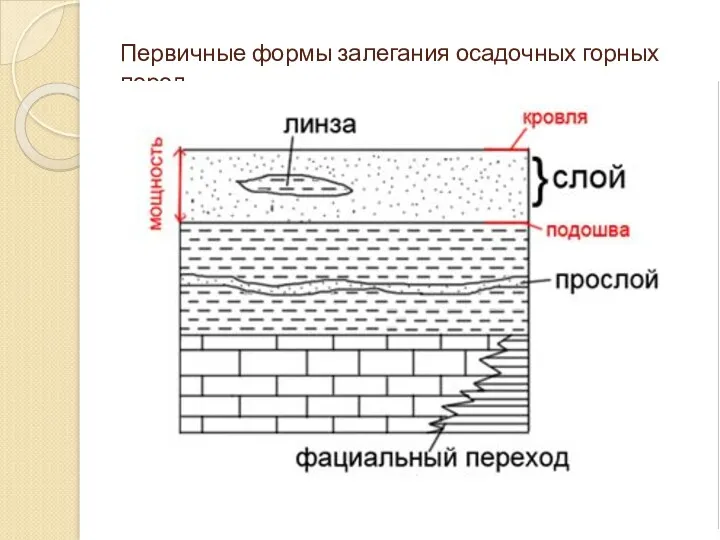 Первичные формы залегания осадочных горных пород