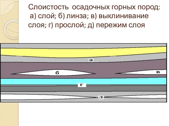 Слоистость осадочных горных пород: а) слой; б) линза; в) выклинивание слоя; г) прослой; д) пережим слоя