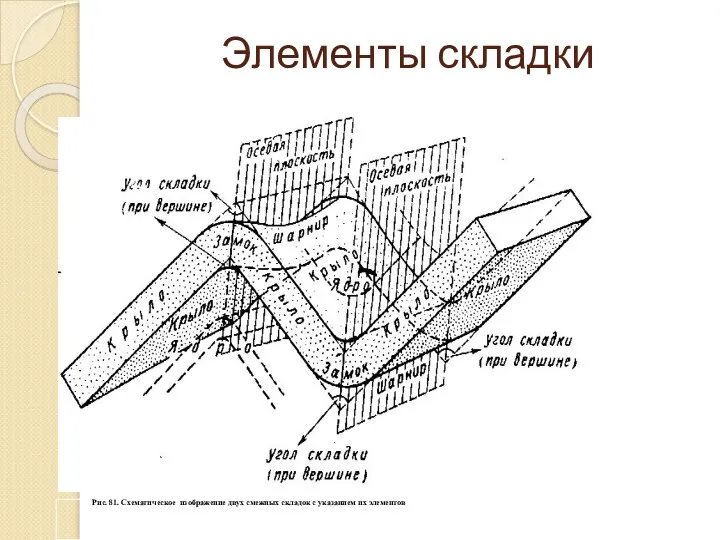 Элементы складки