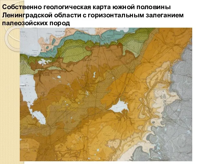 Собственно геологическая карта южной половины Ленинградской области с горизонтальным залеганием палеозойских пород