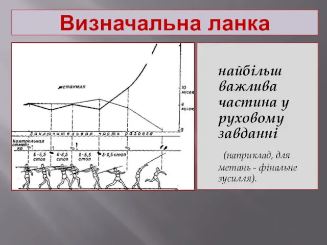 Визначальна ланка найбільш важлива частина у руховому завданні (наприклад, для метань - фінальне зусилля).