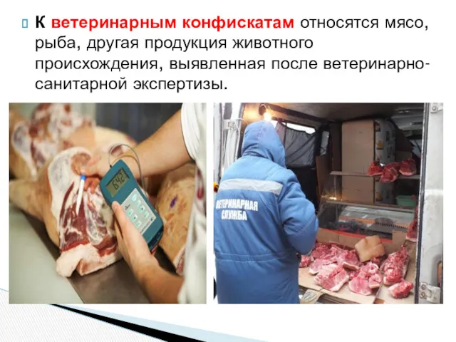 К ветеринарным конфискатам относятся мясо, рыба, другая продукция животного происхождения, выявленная после ветеринарно-санитарной экспертизы.