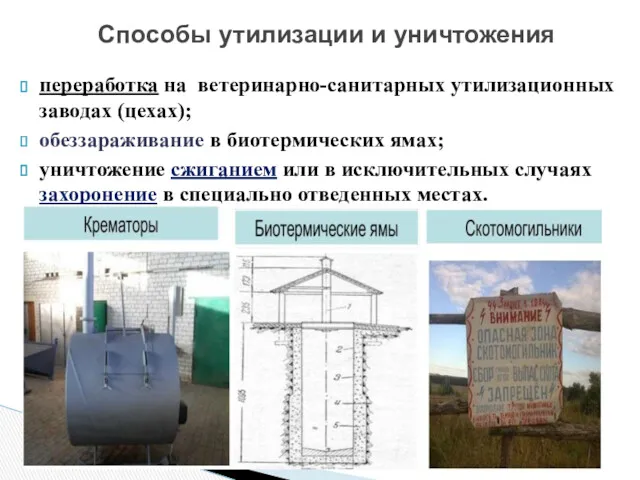 переработка на ветеринарно-санитарных утилизационных заводах (цехах); обеззараживание в биотермических ямах;