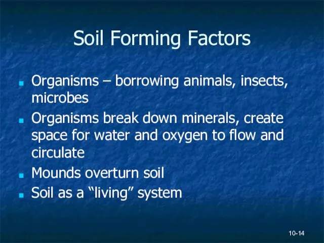 Soil Forming Factors Organisms – borrowing animals, insects, microbes Organisms