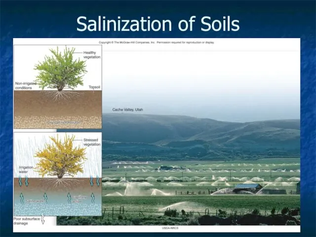 10- Salinization of Soils