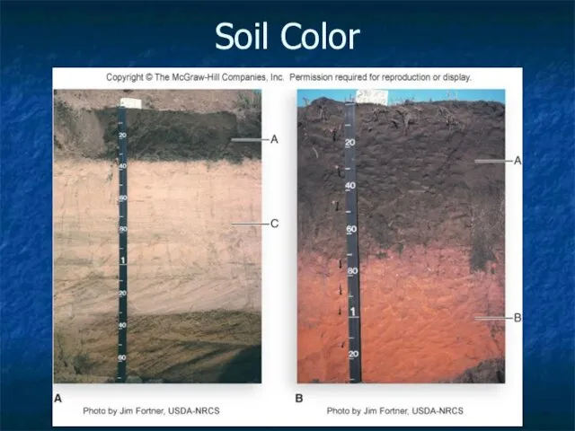 Soil Color