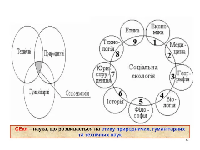 СЕкл – наука, що розвивається на стику природничих, гуманітарних та технічних наук