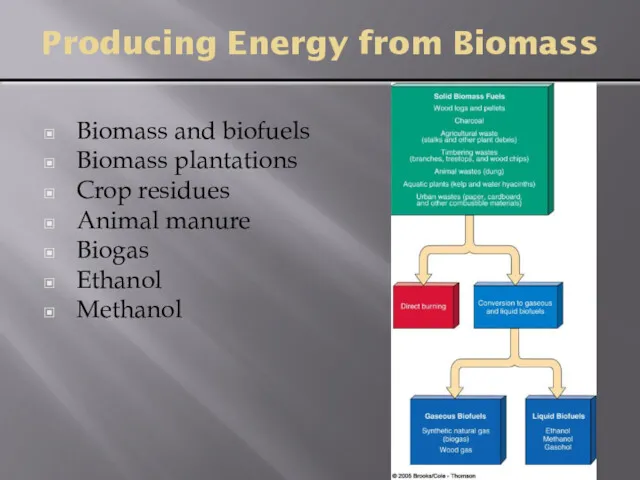 Producing Energy from Biomass Biomass and biofuels Biomass plantations Crop residues Animal manure Biogas Ethanol Methanol
