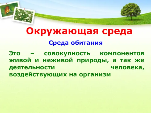 Окружающая среда Среда обитания Это – совокупность компонентов живой и