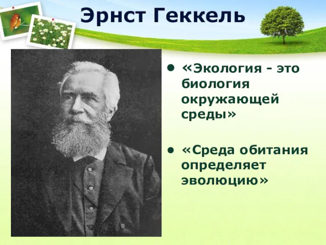 Эрнст Геккель «Экология - это биология окружающей среды» «Среда обитания определяет эволюцию»