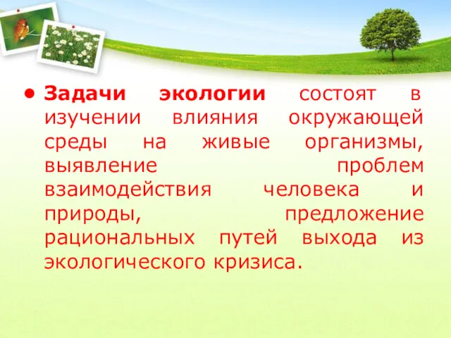 Задачи экологии состоят в изучении влияния окружающей среды на живые