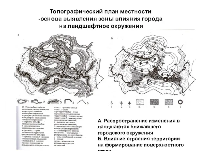 Топографический план местности -основа выявления зоны влияния города на ландшафтное