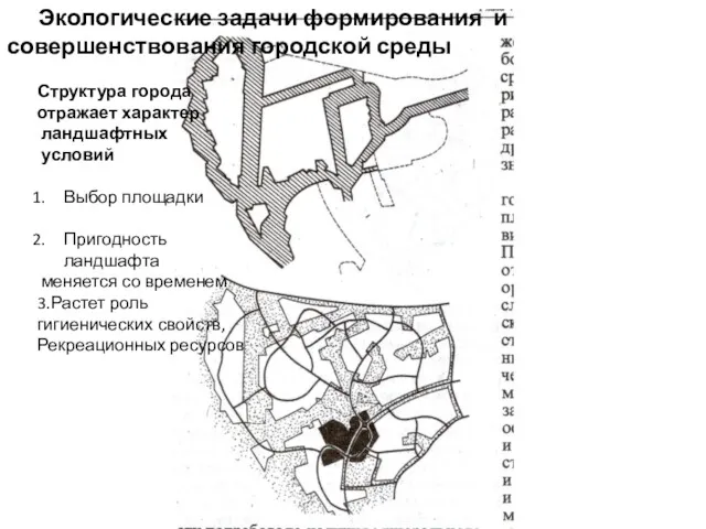 Экологические задачи формирования и совершенствования городской среды Структура города отражает