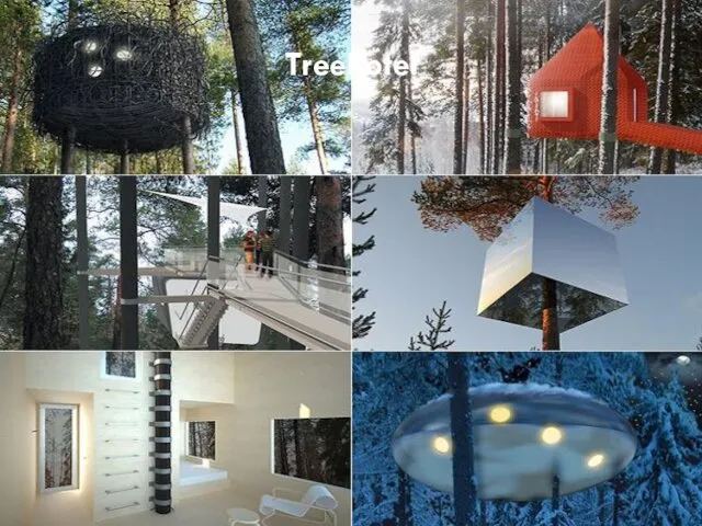 Treehotel