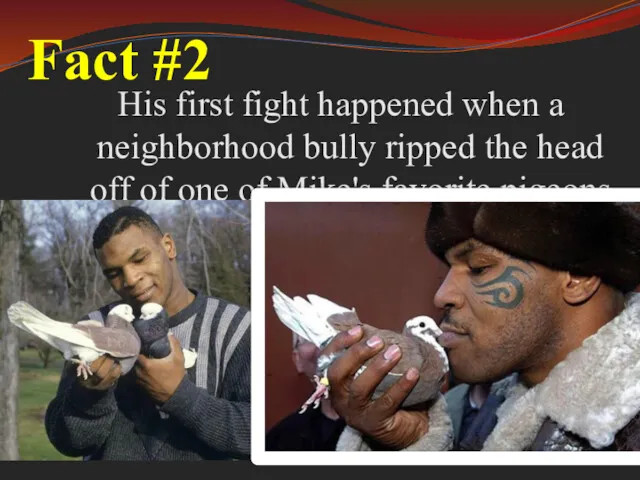 Fact #2 His first fight happened when a neighborhood bully