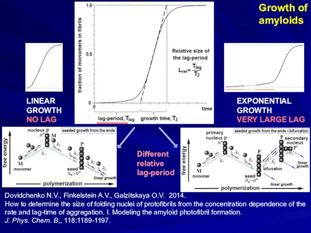 Growth of amyloids Dovidchenko N.V., Finkelstein A.V., Galzitskaya O.V. 2014. How to determine