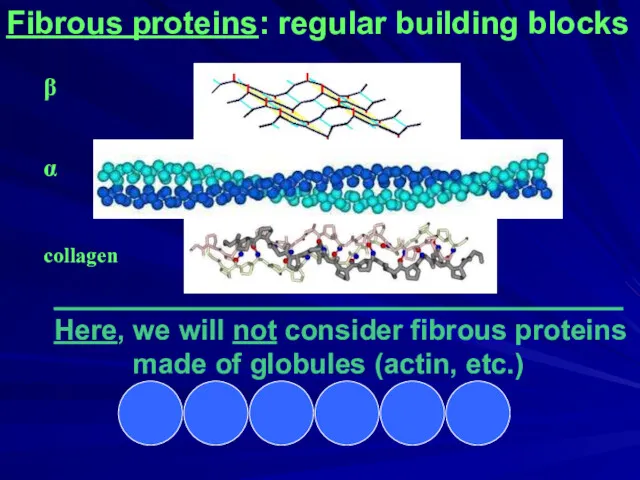 Fibrous proteins: regular building blocks ____________________________________ Here, we will not consider fibrous proteins