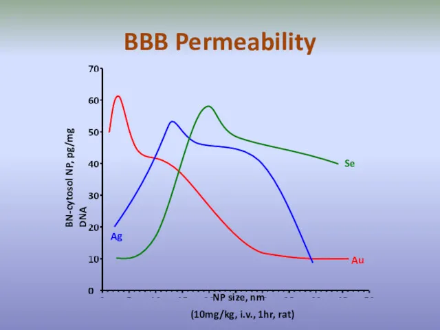 BBB Permeability (10mg/kg, i.v., 1hr, rat) Se Au Ag NP size, nm BN-cytosol NP, pg/mg DNA
