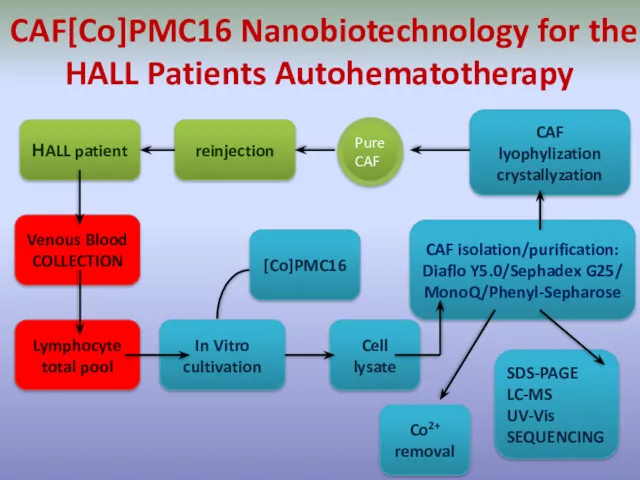 CAF[Co]PMC16 Nanobiotechnology for the HALL Patients Autohematotherapy НALL patient Pure