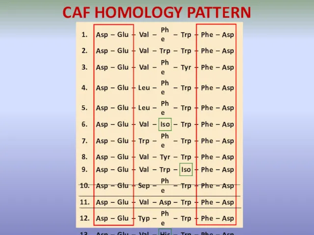 CAF HOMOLOGY PATTERN