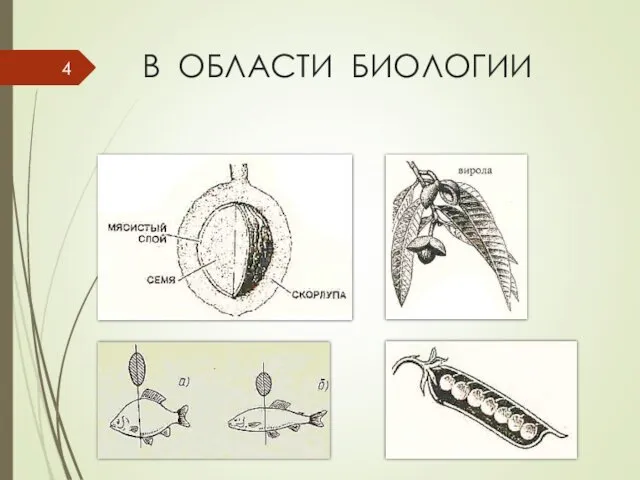 В ОБЛАСТИ БИОЛОГИИ