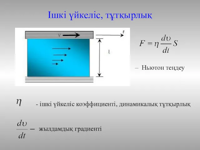 Ішкі үйкеліс, тұтқырлық – Ньютон теңдеу жылдамдық градиенті - ішкі үйкеліс коэффициенті, динамикалық тұтқырлық