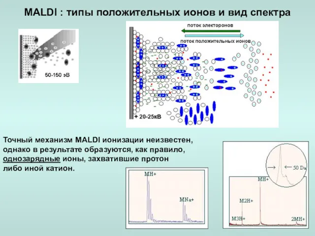 Точный механизм MALDI ионизации неизвестен, однако в результате образуются, как