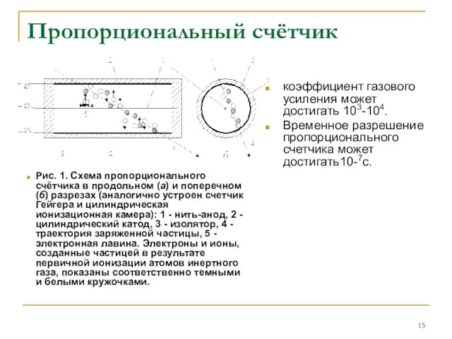 Пропорциональный счётчик Рис. 1. Схема пропорционального счётчика в продольном (а)