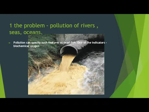 1 the problem - pollution of rivers , seas, oceans.