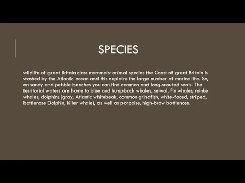 SPECIES wildlife of great Britain class mammals: animal species the