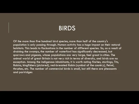 BIRDS Of the more than five hundred bird species, more